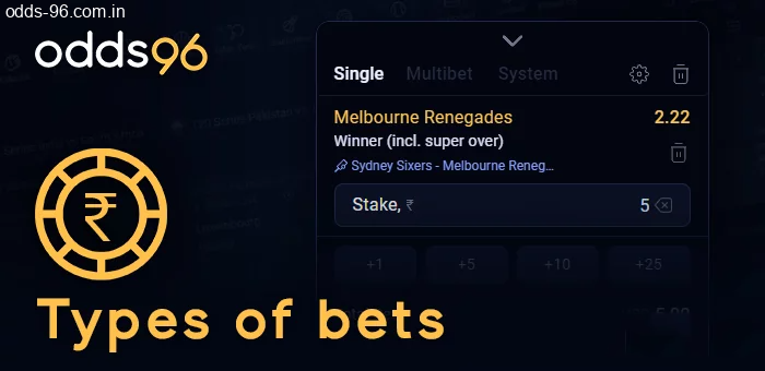 Types of bets in the coupon on Odds96