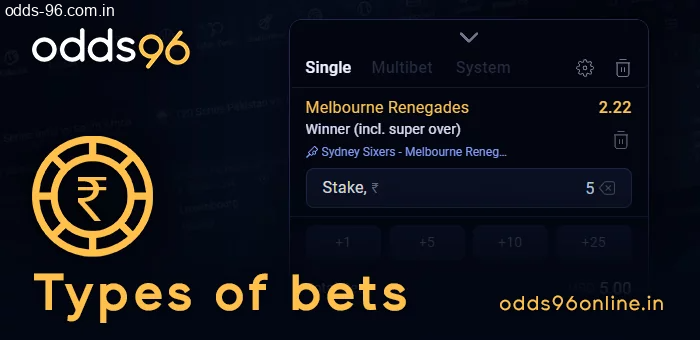 Types of bets in the coupon on Odds96